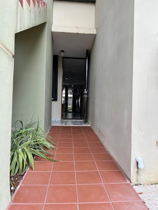 Entire Beach Apartment With View To El Yunque National Rain Forest Rio Grande Bagian luar foto